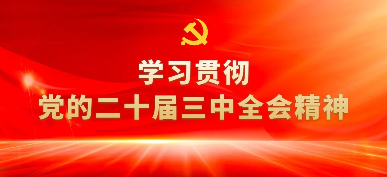 读懂党的二十届三中全会③：9组“民生热词”背后的知识点